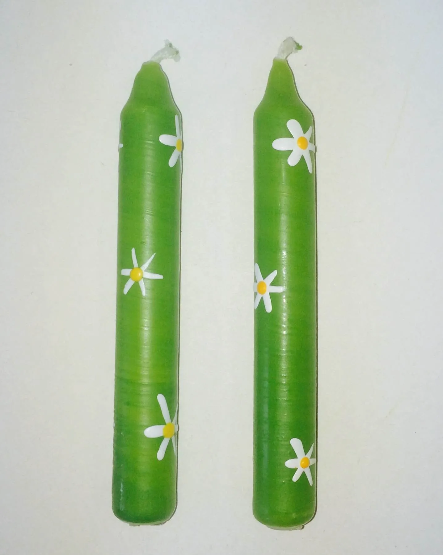 Daisy Candles on green background