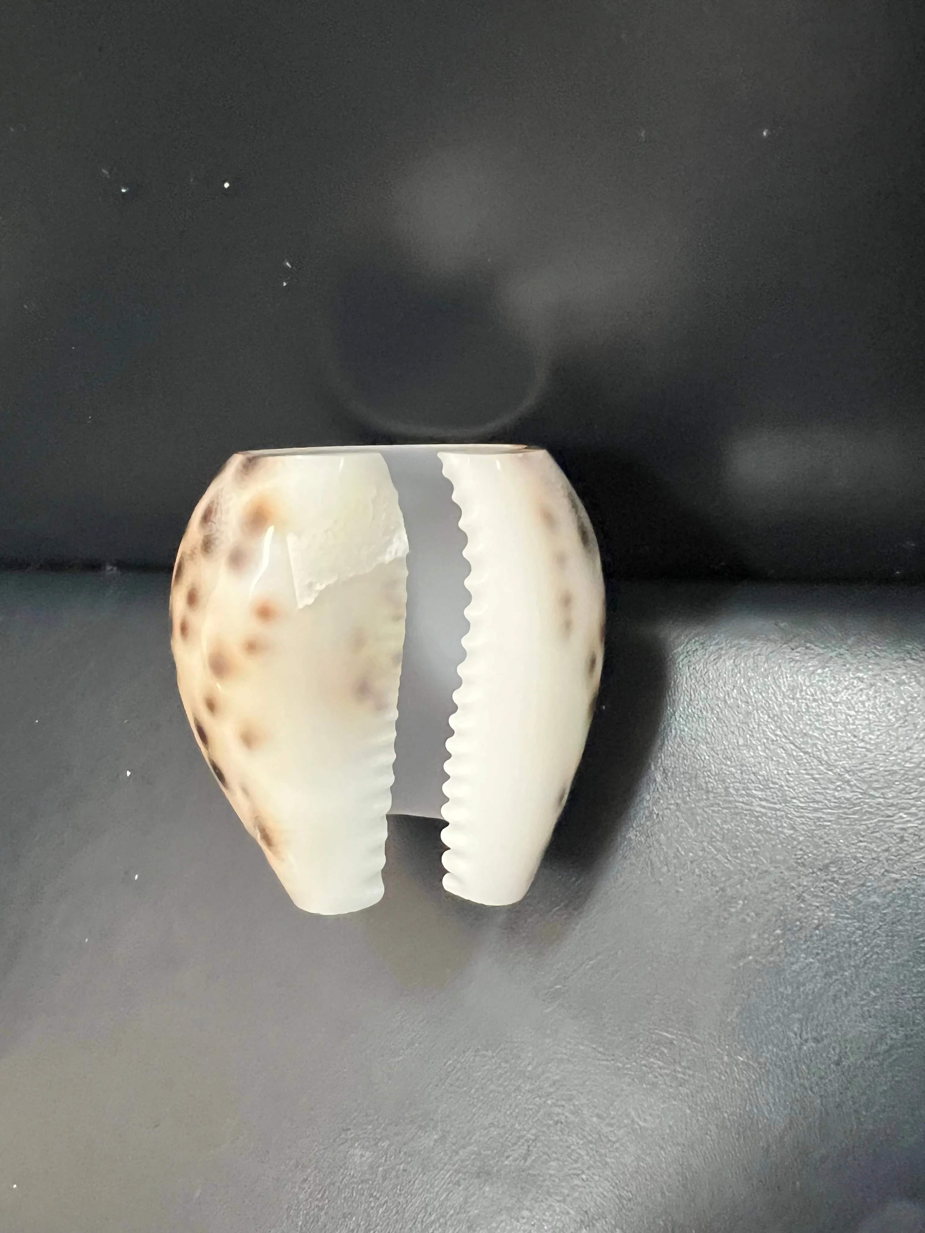 Etched Flower Cowrie Napkin Holder