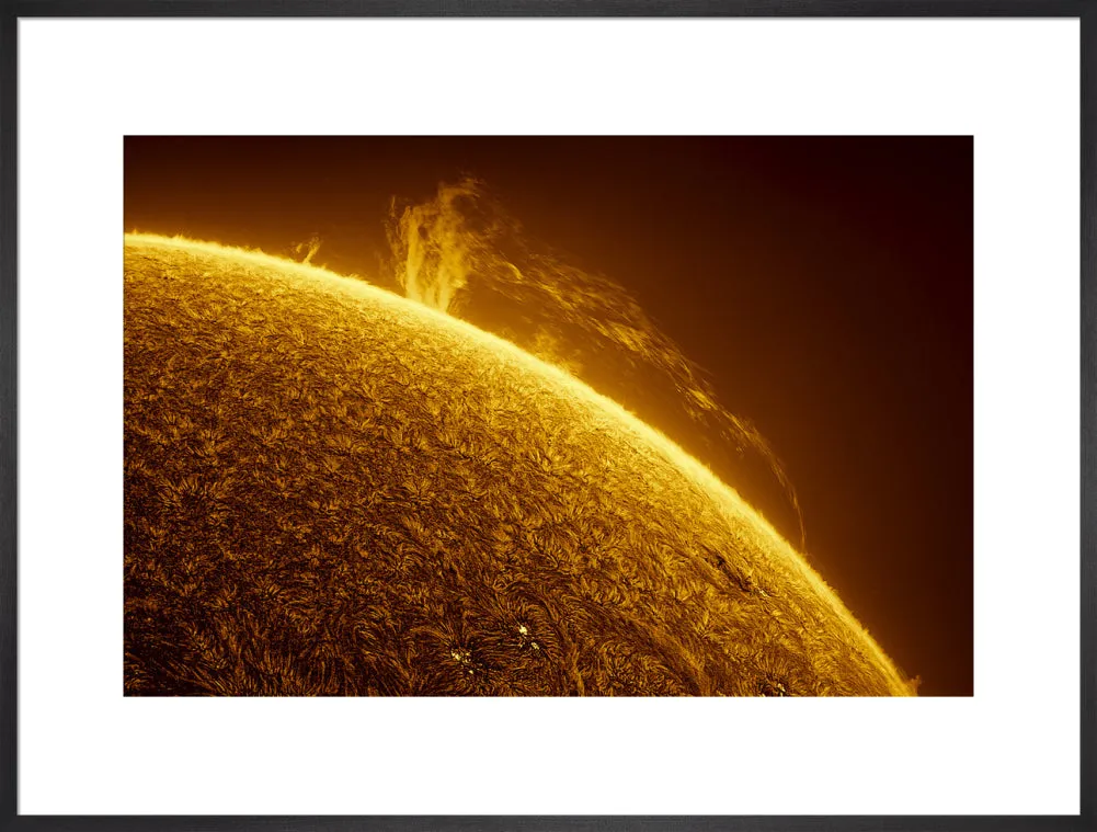 Gigantic Solar Prominence in Motion (2024 Custom Print)